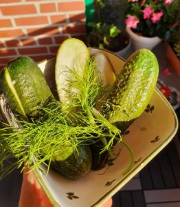 Quick Pickled Summer Cucumbers (Gherkins)