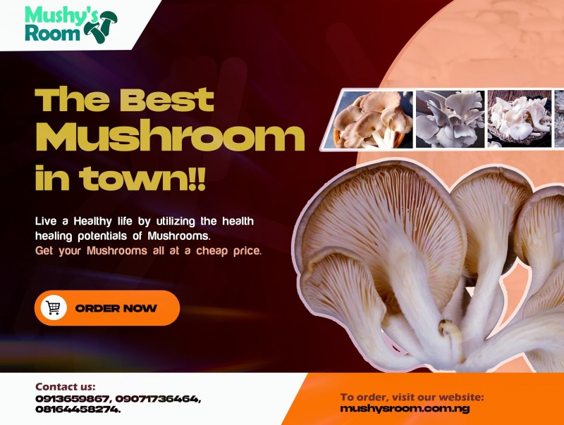 <?php echo USER_S_PICTURE ?>