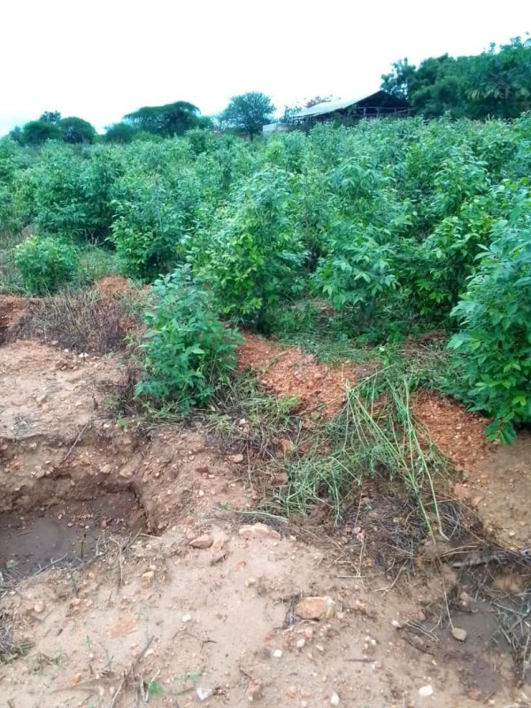 <?php echo USER_S_PICTURE ?>