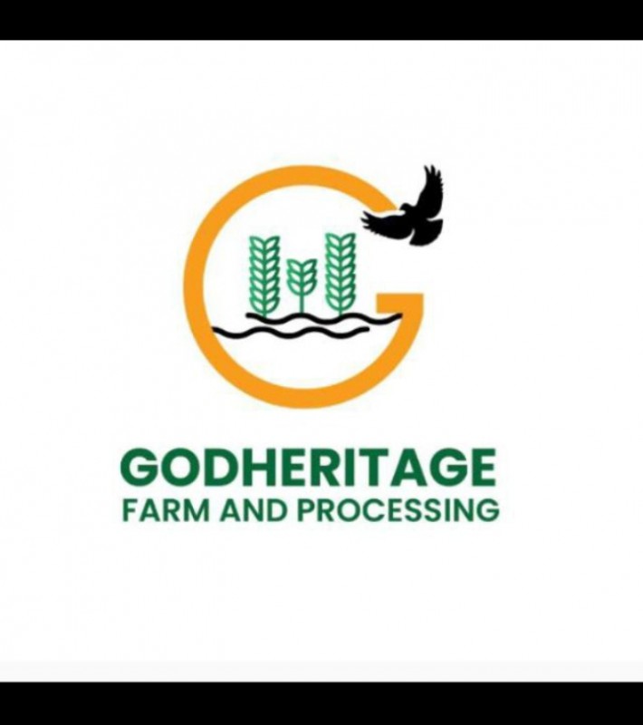 Picture for Green pumpkin leaf